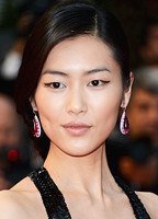 Liu Wen