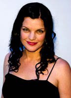 Pauley Perrette