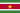 Suriname flag